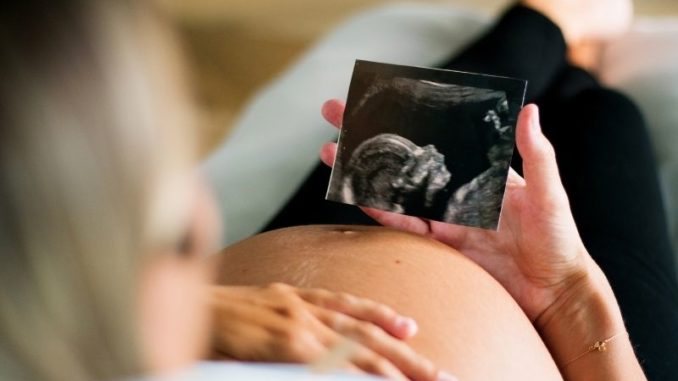 Von der Einnistung zur Geburt – die Phasen der Schwangerschaft