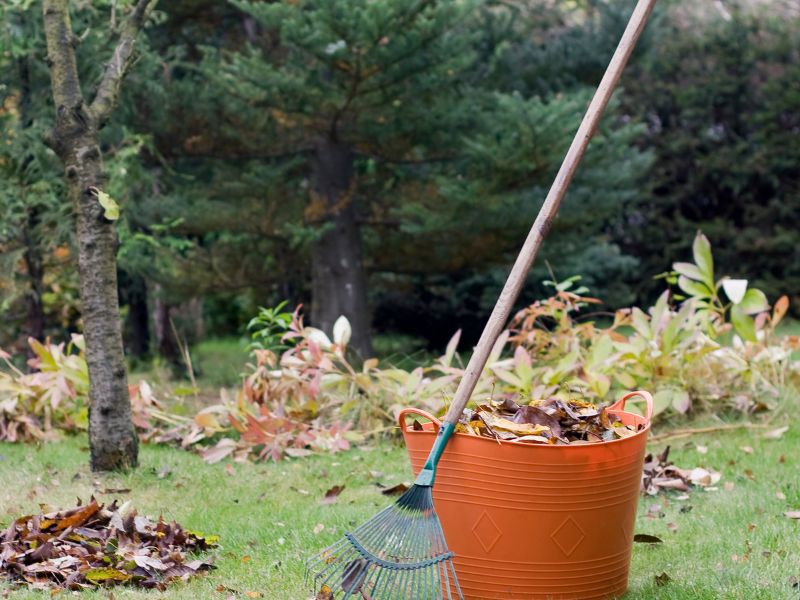 Garten im Herbst für das Frühjahr vorbereiten