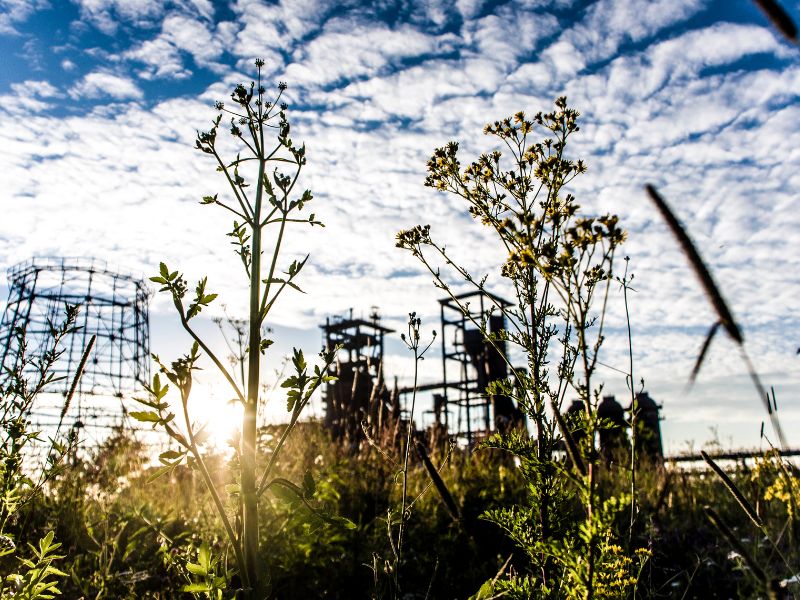 Wandern im Ruhrpott – Entdecke die Natur rund um Dortmund